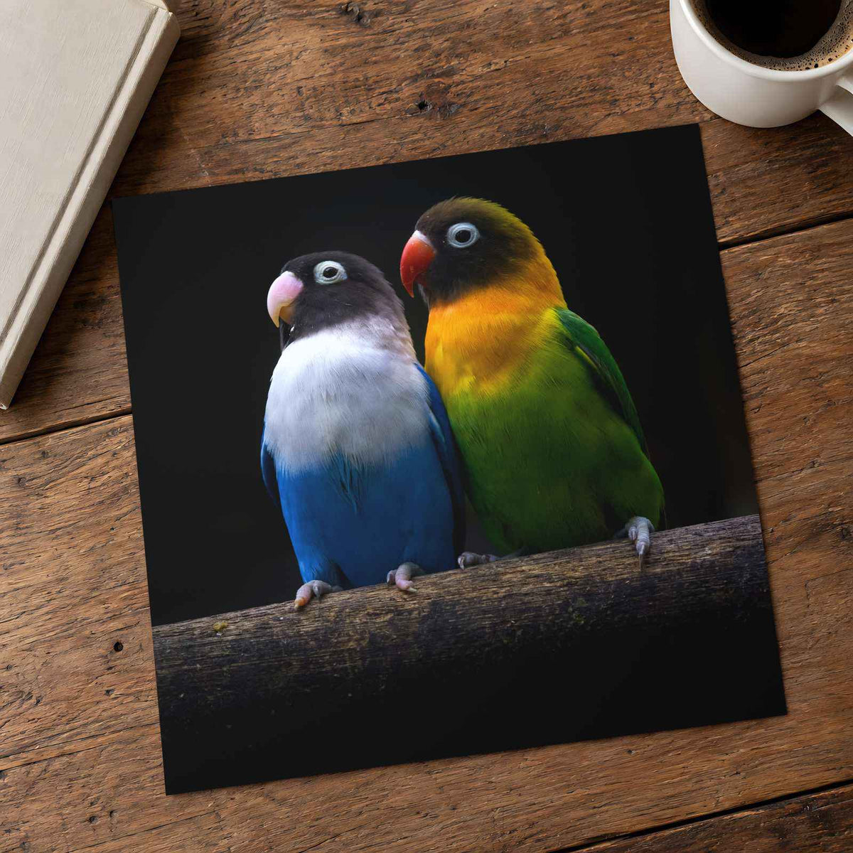 Two Parakeet Birds Sitting on Tree Branch Photo Wall Print (6 Sizes) - Frameable
