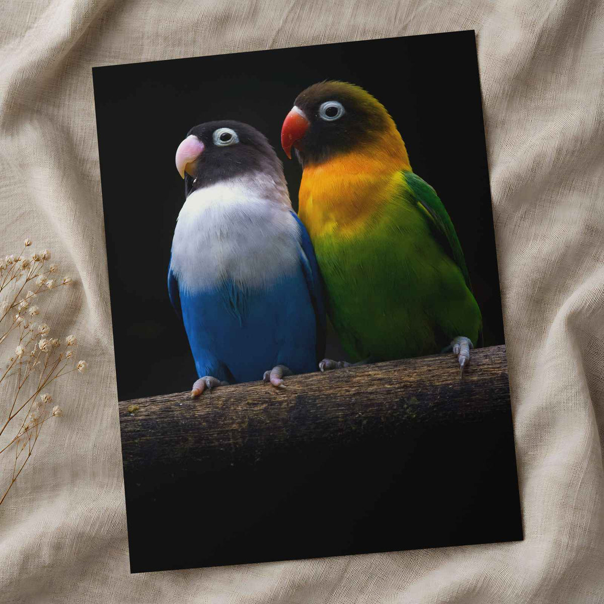 Two Parakeet Birds Sitting on Tree Branch Photo Wall Print (6 Sizes) - Frameable