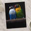 Two Parakeet Birds Sitting on Tree Branch by Zdeněk Macháček Photo Print Wall Decor