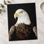 Close Up of Bald Eagle on Black Background Photographic Art Print (7 Sizes)