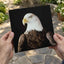 Close Up of Bald Eagle on Black Background Photographic Art Print (7 Sizes)