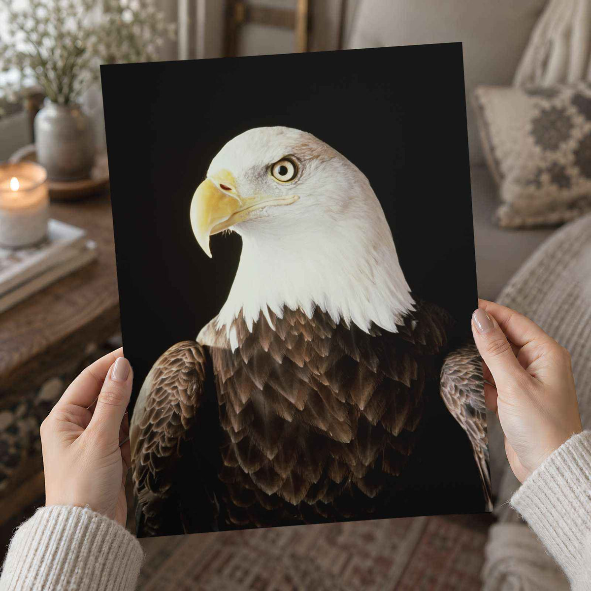 Close Up of Bald Eagle on Black Background Photographic Art Print (7 Sizes)