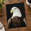 Close Up of Bald Eagle on Black Background Photo Print Wall Decor