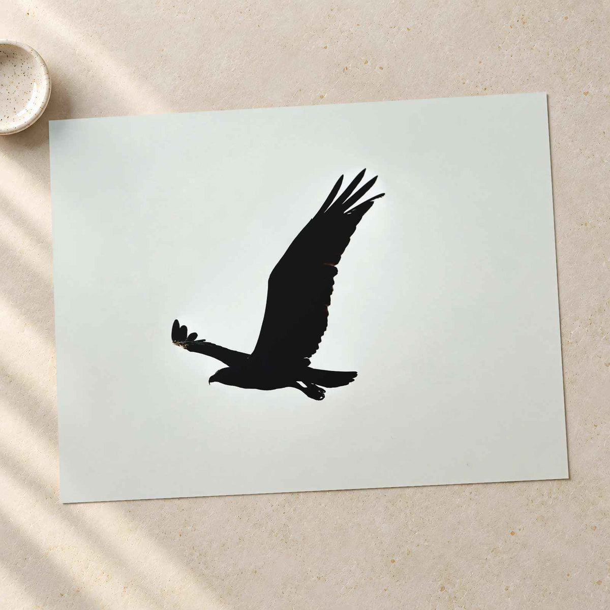 Silhouette of Osprey in Flight Islamorada Florida Photo Wall Art (7 Sizes)