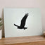 Silhouette of Osprey in Flight Islamorada Florida Photo Wall Art (7 Sizes)
