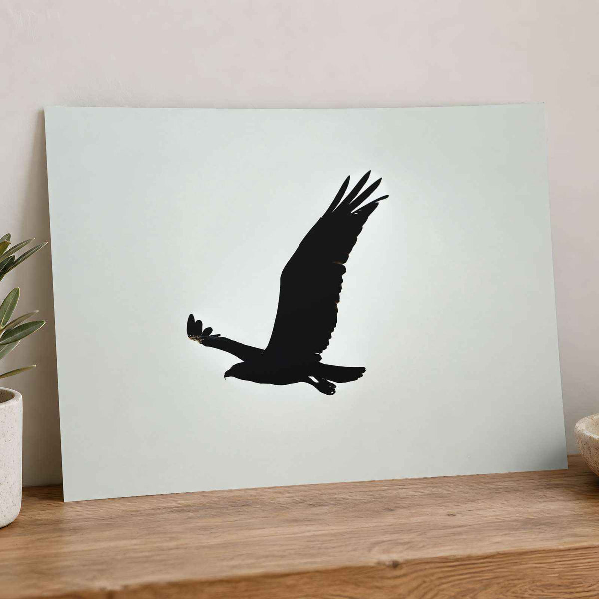 Silhouette of Osprey in Flight Islamorada Florida Photo Wall Art (7 Sizes)