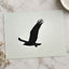 Silhouette of Osprey in Flight Islamorada Florida Photo Wall Art (7 Sizes)