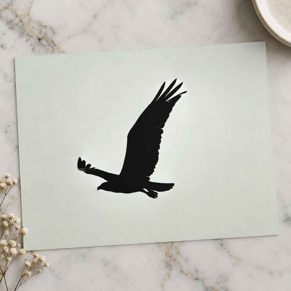Silhouette of Osprey in Flight Islamorada Florida Photo Wall Art (7 Sizes)