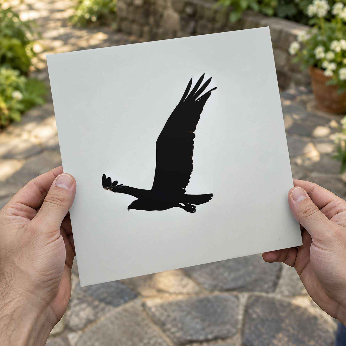 Silhouette of Osprey in Flight Islamorada Florida Photo Wall Art (7 Sizes)