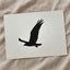 Silhouette of Osprey in Flight Photo Print Wall Decor