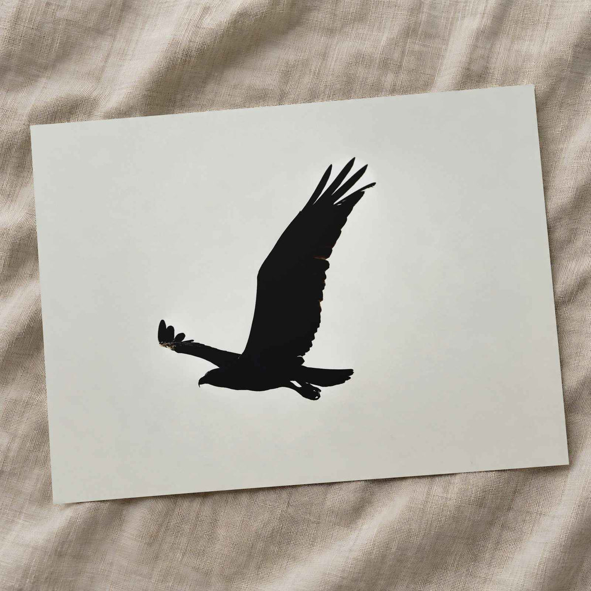 Silhouette of Osprey in Flight Photo Print Wall Decor