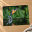 Common Kingfisher Emerging from Water Photographic Art Print (7 Sizes)