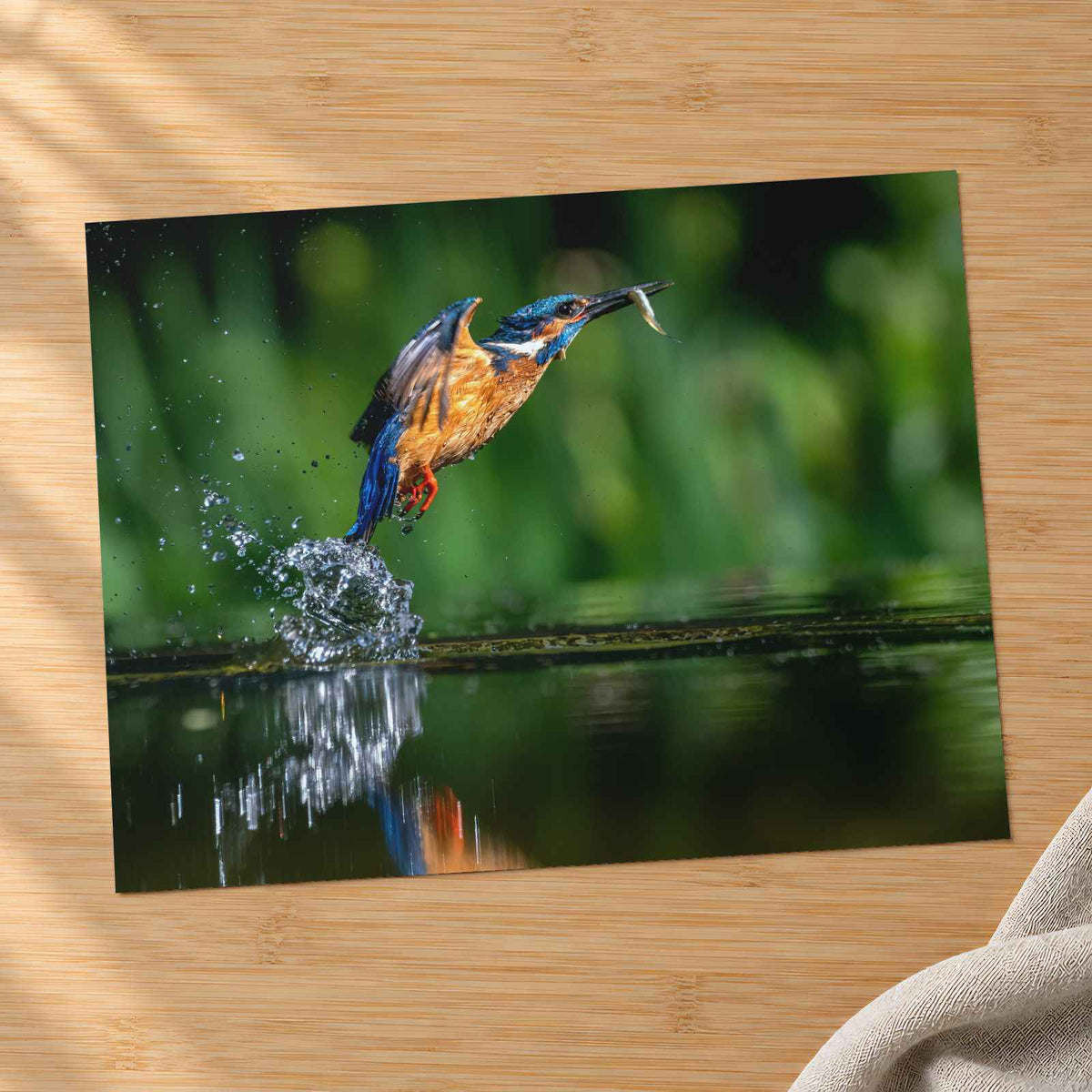 Common Kingfisher Emerging from Water Photographic Art Print (7 Sizes)