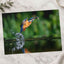 Common Kingfisher Emerging from Water Photographic Art Print (7 Sizes)