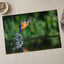 Common Kingfisher Emerging from Water Photographic Art Print (7 Sizes)