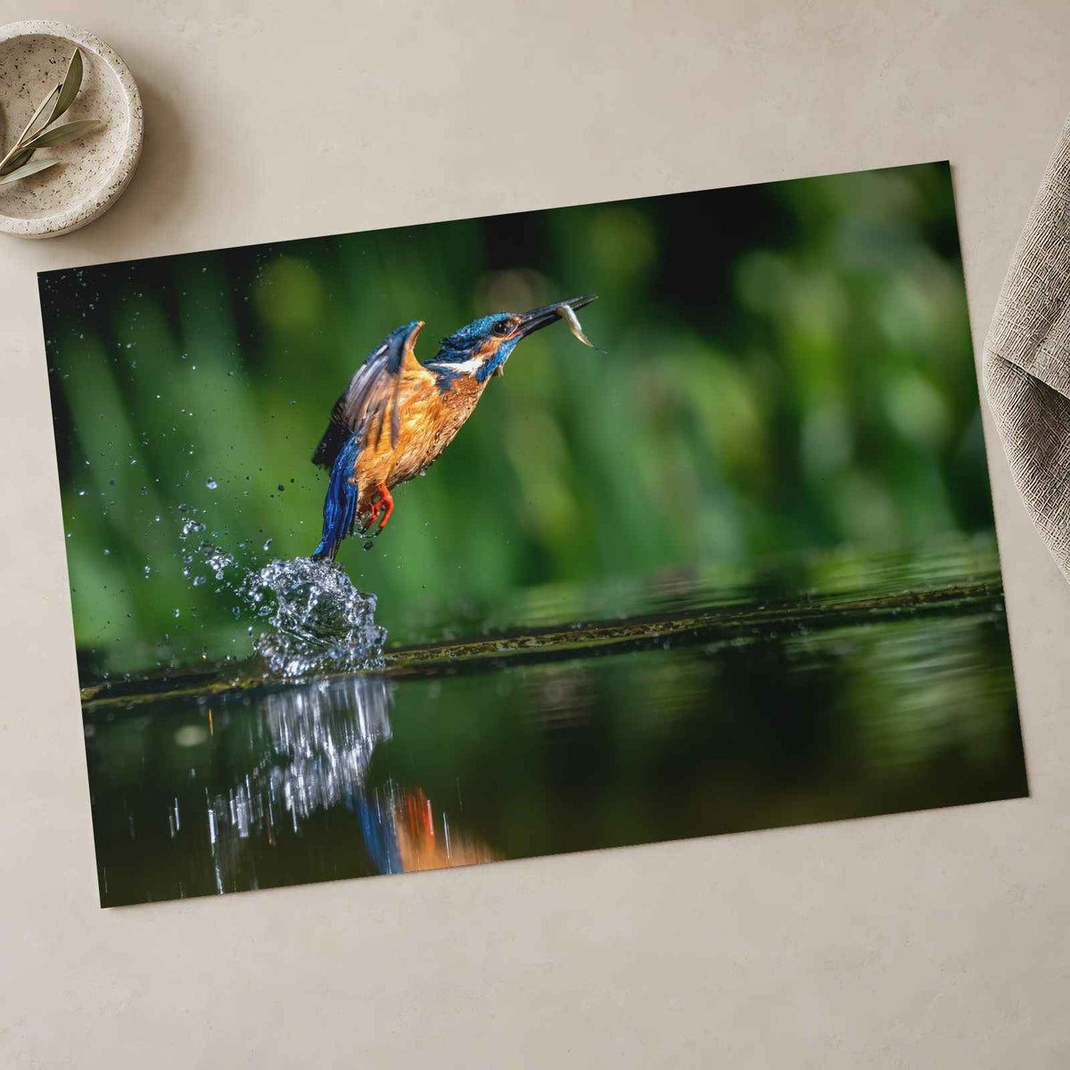 Common Kingfisher Emerging from Water Photographic Art Print (7 Sizes)