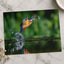 Common Kingfisher Emerging from Water Photographic Art Print (7 Sizes)