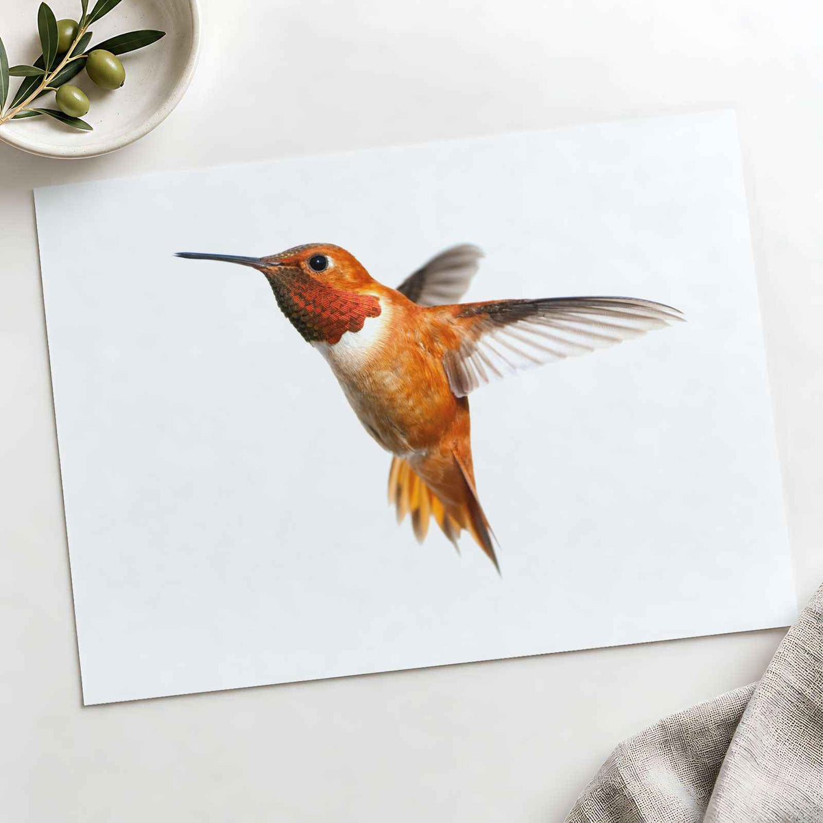 Male Rufous Hummingbird