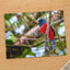 Colorful Bird Perched on Tree Branch Photo Wall Print (6 Sizes) - Printed in USA