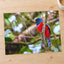 Colorful Bird Perched on Tree Branch by Zdeněk Macháček Photo Print Wall Decor