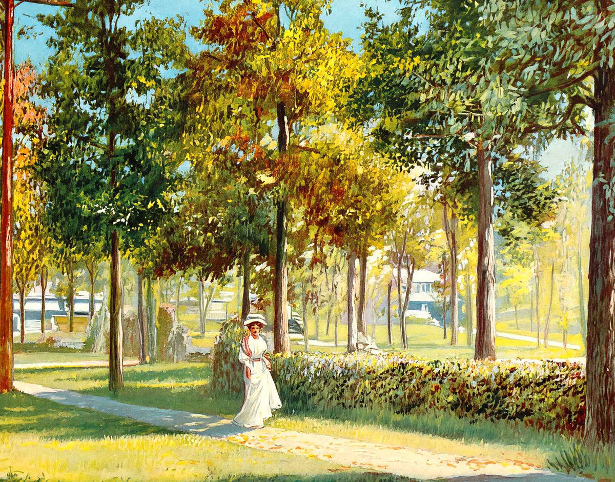 View in Glen Iris Park Birmingham Alabama in 1906 Vintage Print (7 Sizes)