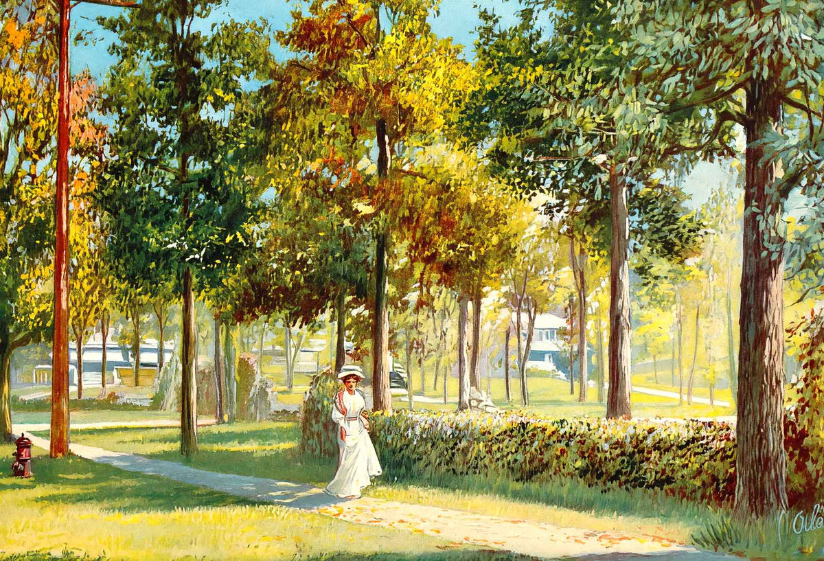 View in Glen Iris Park Birmingham Alabama in 1906 Vintage Print (7 Sizes)