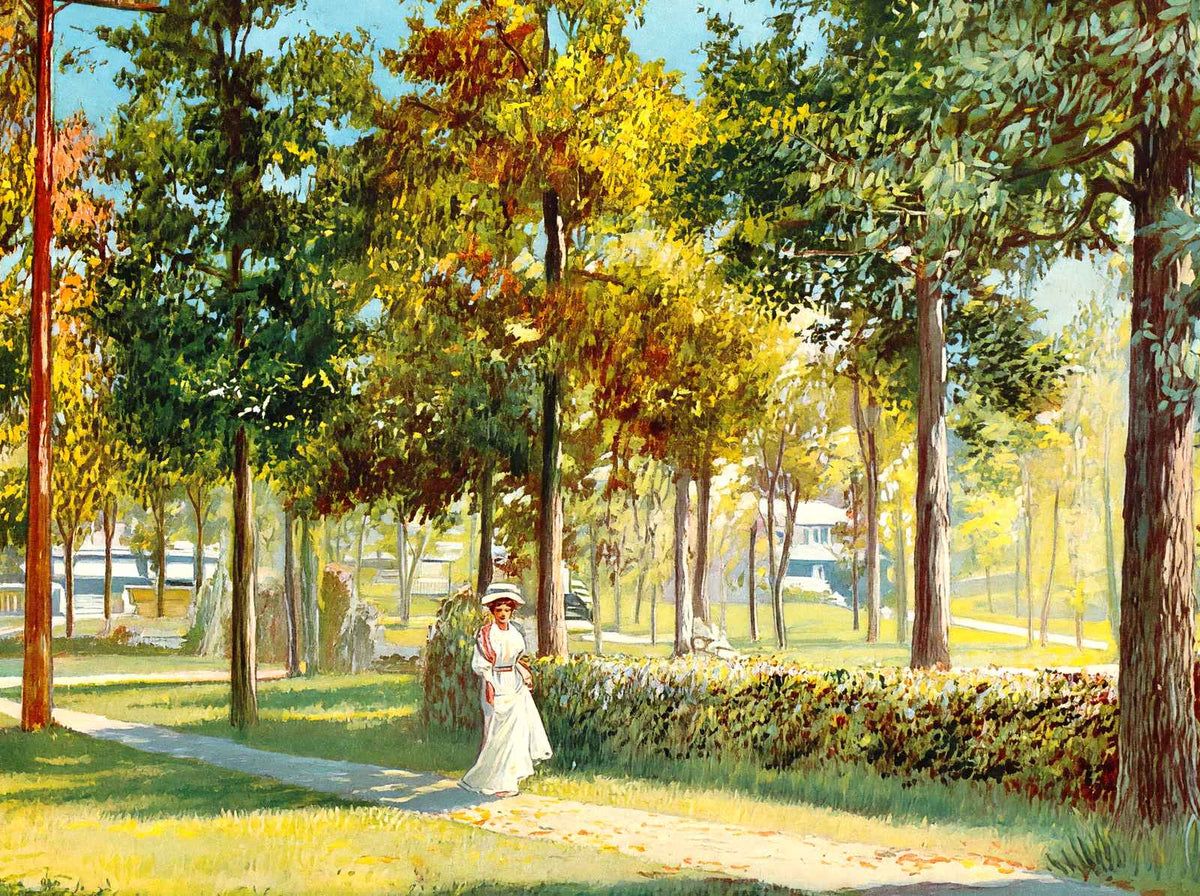 View in Glen Iris Park Birmingham Alabama in 1906 Vintage Print (7 Sizes)