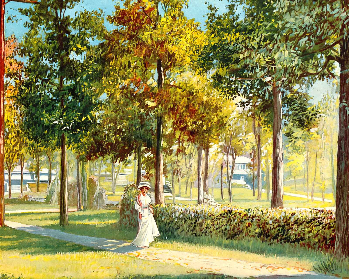 View in Glen Iris Park