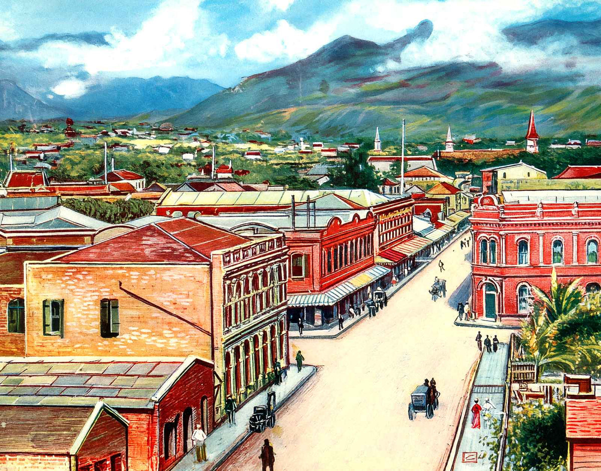 View of Honolulu in 1909 Vintage Print (7 Sizes) - Restored