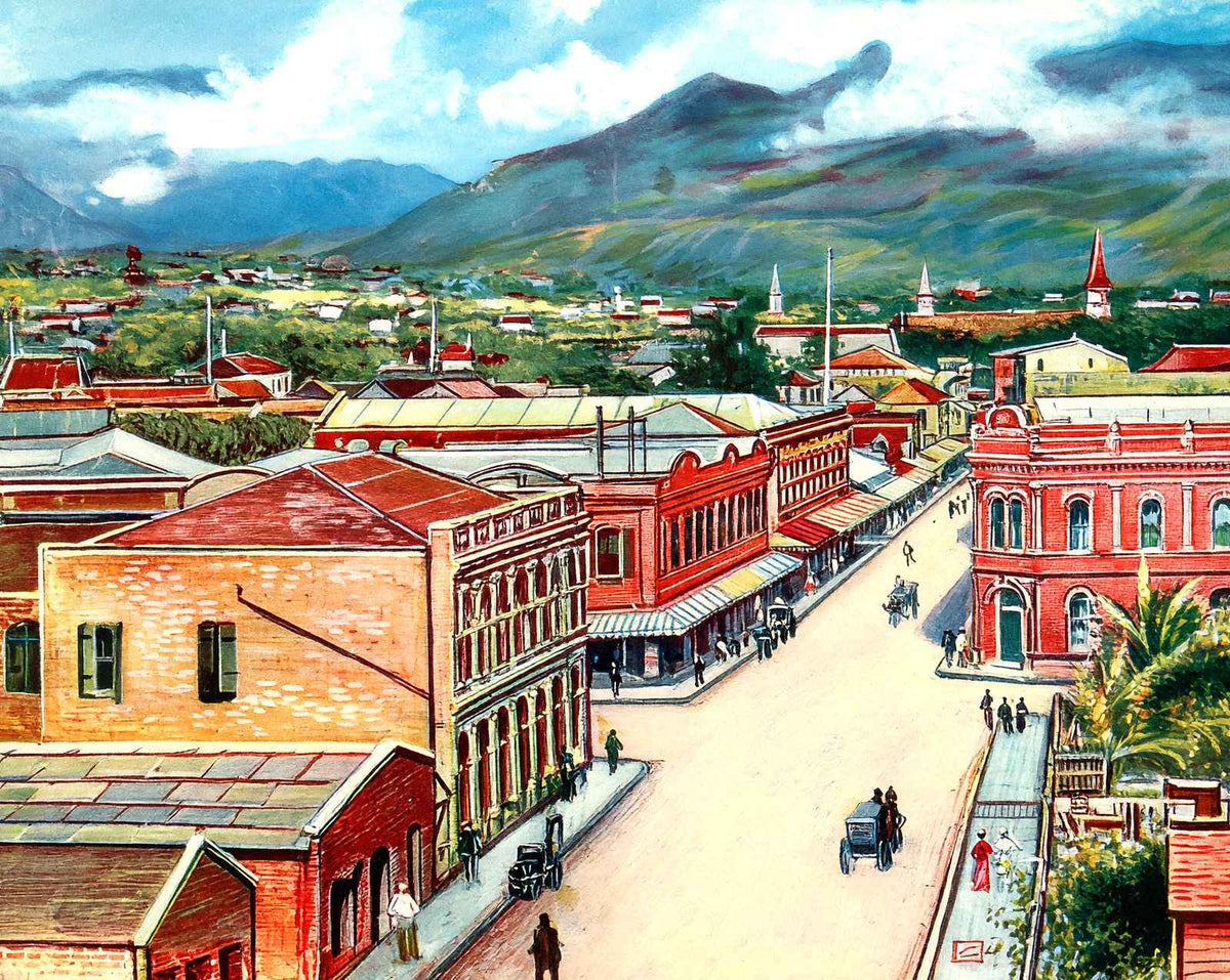 View of Honolulu in 1909 vintage print