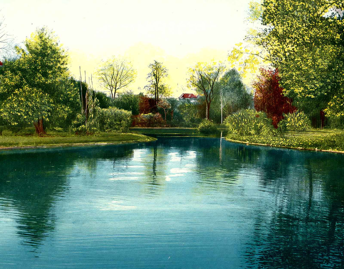 View in Snyder Park Springfield Ohio Vintage Print (7 Sizes) - Premium Quality