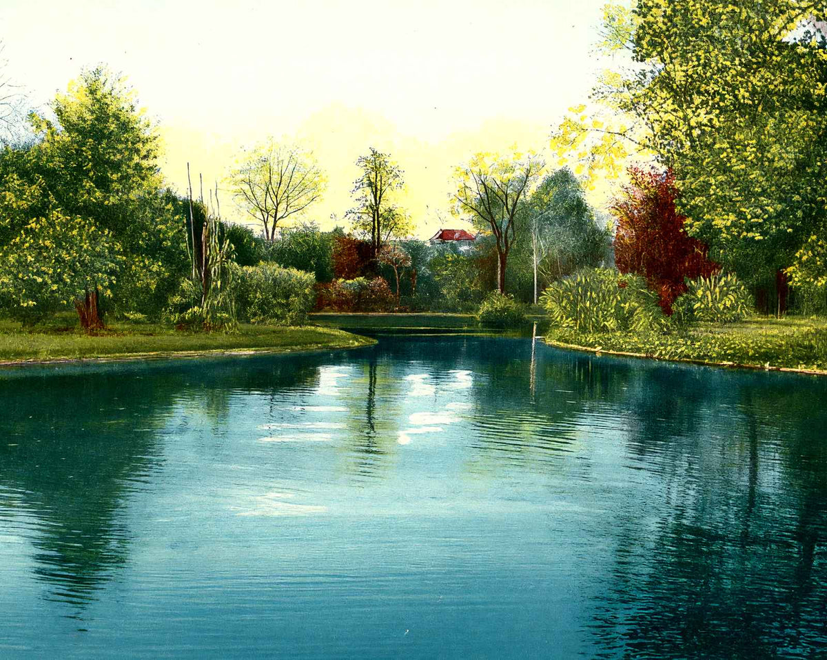 View in Snyder Park in Springfield vintage print