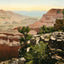 View from the Rim