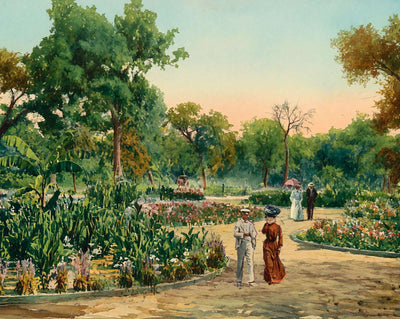 View in City Park