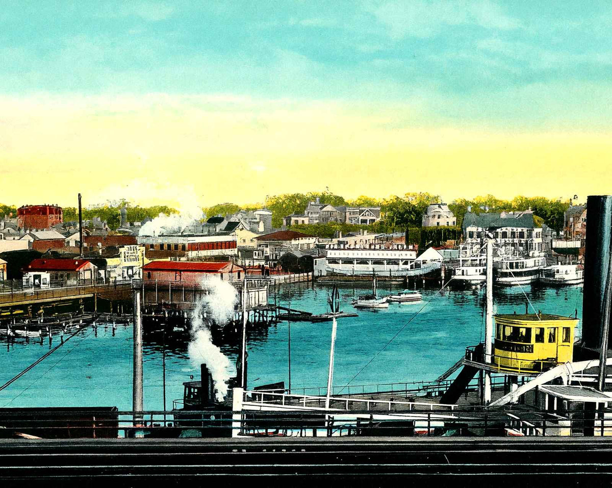View of the Harbor