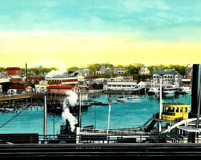 View of the Harbor