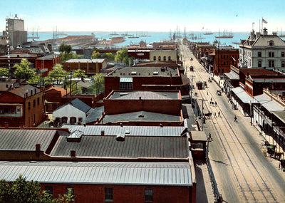 View of the Harbor Pensacola FL in 1904 Vintage Print (7 Sizes) - Acid Free