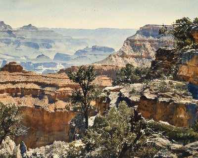 View from the Rim