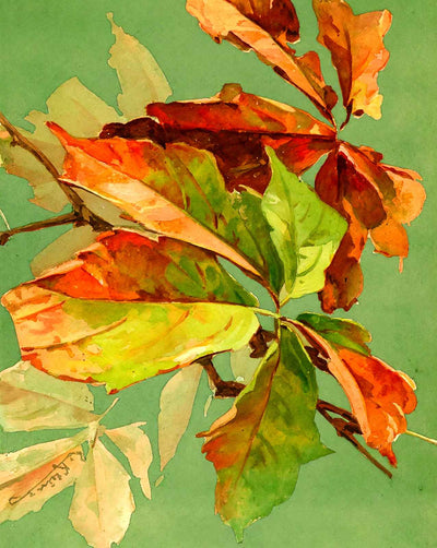 Vigne Vierge Leaves in 1903 art print