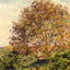 Walnut Tree in Spring Art Print 1894 Painting by Camille Pissarro (6 Sizes)