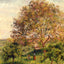 Walnut Tree in Spring Art Print 1894 Painting by Camille Pissarro (6 Sizes)