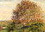 Walnut Tree in Spring Art Print 1894 Painting by Camille Pissarro (6 Sizes)