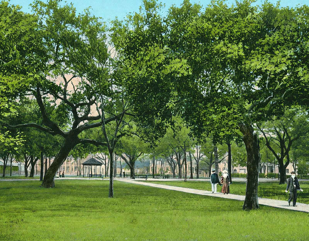 Washington Park Mobile Alabama in 1906 Vintage Print (7 Sizes) - Archival Paper