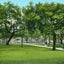Washington Park Mobile Alabama in 1906 Vintage Print (7 Sizes) - Archival Paper