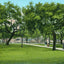 Washington Park Mobile Alabama in 1906 Vintage Print (7 Sizes) - Archival Paper