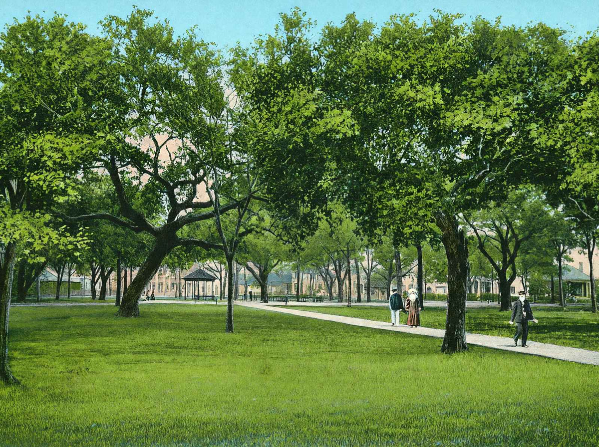 Washington Park Mobile Alabama in 1906 Vintage Print (7 Sizes) - Archival Paper