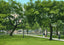 Washington Park Mobile Alabama in 1906 Vintage Print (7 Sizes) - Archival Paper