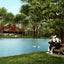 Washington Park Springfield Illinois in 1907 Vintage Print (7 Sizes)
