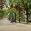 Washington Street Atlanta in 1906 Vintage Print (7 Sizes) - Archival Paper