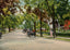 Washington Street Atlanta in 1906 Vintage Print (7 Sizes) - Archival Paper